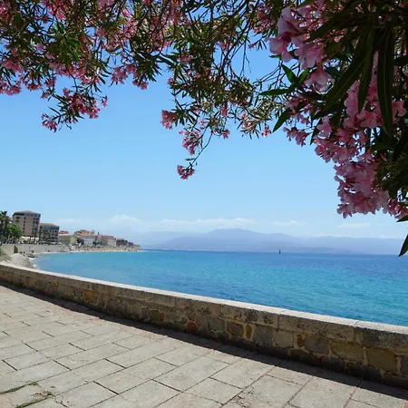 3 Bedroom Amazing In Ajaccio Daire